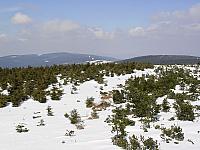 2006